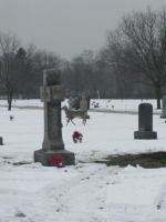 Chicago Ghost Hunters Group investigate Resurrection Cemetery (83).JPG